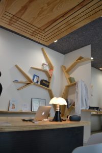 Consultation Dr Bogaert Nantes